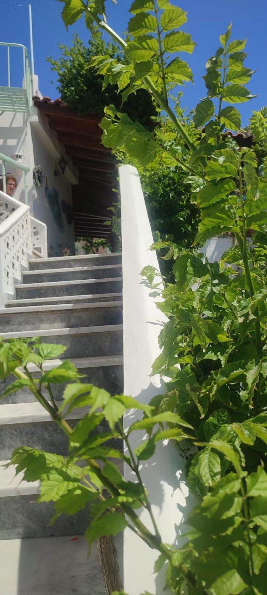 Krinelos Rooms Skala Eresou Dış mekan fotoğraf